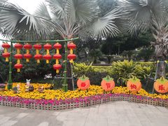 -南宁南湖公园