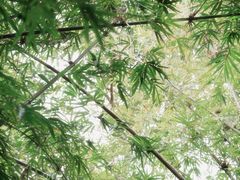 -晓港公园