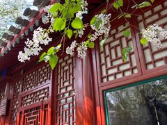 -北京鲁迅博物馆(北京新文化运动纪念馆鲁博馆区)