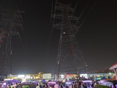 -中环花鸟鱼虫市场