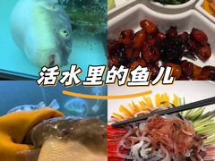 -肆月河豚·淮扬菜·湘菜(华天店)