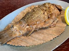 -滇野云南野生菌餐厅(陕西南路店)