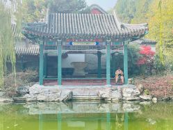 -颐和宾馆宴会厅