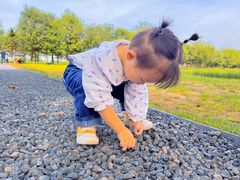 -汉长安城未央宫国家考古遗址公园