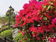 -广州西关永庆坊旅游区
