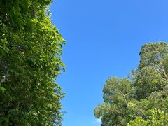 -火炉山森林公园