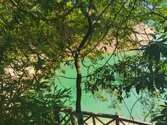 -广州市流溪河国家森林公园