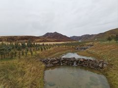 -扁都口生态休闲旅游区