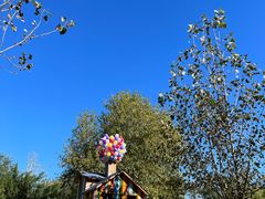 -北京鹿世界主题园