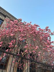 -北京大学第一医院妇产儿童医院