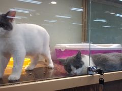 -乐宠宠物店(世纪金源店)