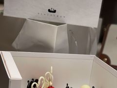 -BLACKSWAN黑天鹅(环球店)