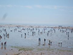 -刘家湾赶海园