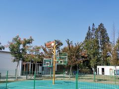 -前小桔亲子创意农场·草莓采摘·露营烧烤