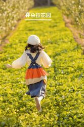 -DORA kids 朵拉儿童摄影花园店