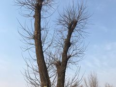 -汉长安城未央宫国家考古遗址公园