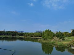 -尚贤河湿地