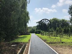 -溱湖国家湿地公园