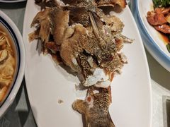 -鲁菜根·泰山菜(泰山店)