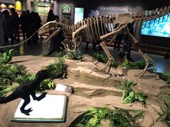 -自贡恐龙博物馆