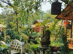 -青城甲(青城山店)