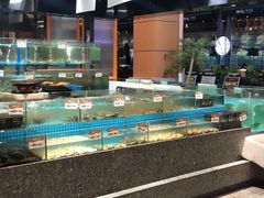 -狮伙海鲜捞(千灯湖店)