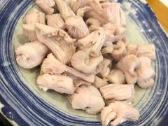 羊肚仁-金生隆(六铺炕店)