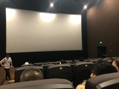 -SFC上影影城(港汇永华IMAX激光店)