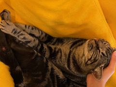 -唐咖精品咖啡(大理古城手冲店)