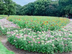 -上海共青森林公园