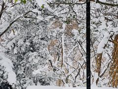-烟台山景区