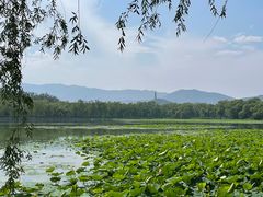 -皇家御河游(紫御湾码头)