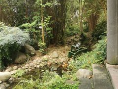 -成都市活水公园