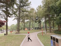 -美兰湖景区
