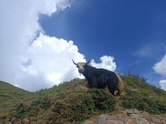 -墨石公园景区