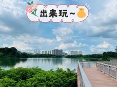 -广东花都湖国家湿地公园