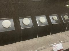 -平原博物院