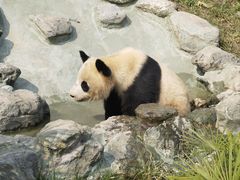 -乐和乐都主题乐园