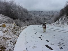 -太子岭滑雪场