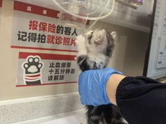 -御宝贝24h宠物医院·转诊中心·CT核磁血透中心(厦门总院)