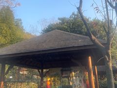 -庐山上汤温泉度假村