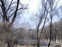 -高尔山公园