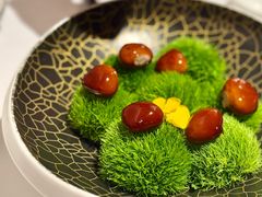 -鹿园 MOOSE(长宁店)