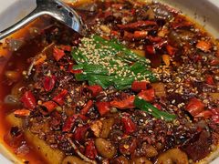 -柿合缘新京菜(国金中心商场店)