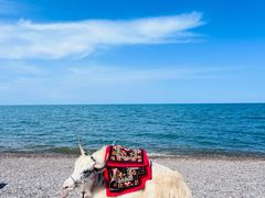 -青海湖国家重点风景名胜区