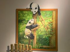 -成都泰迪熊博物馆