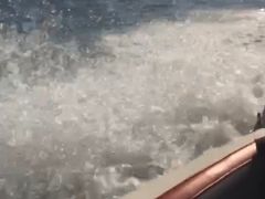 -滴水湖帆船营地