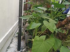 -边渡咖啡烘焙店(昙华林店)