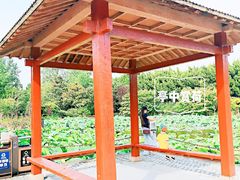 -嘉定紫藤园