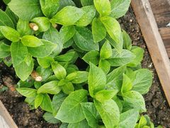 -小茶闲舍·观景商务茶馆(广州塔店)